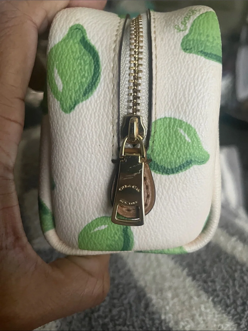 Coach Cream Cosmetic Pouch with Green Lime Print